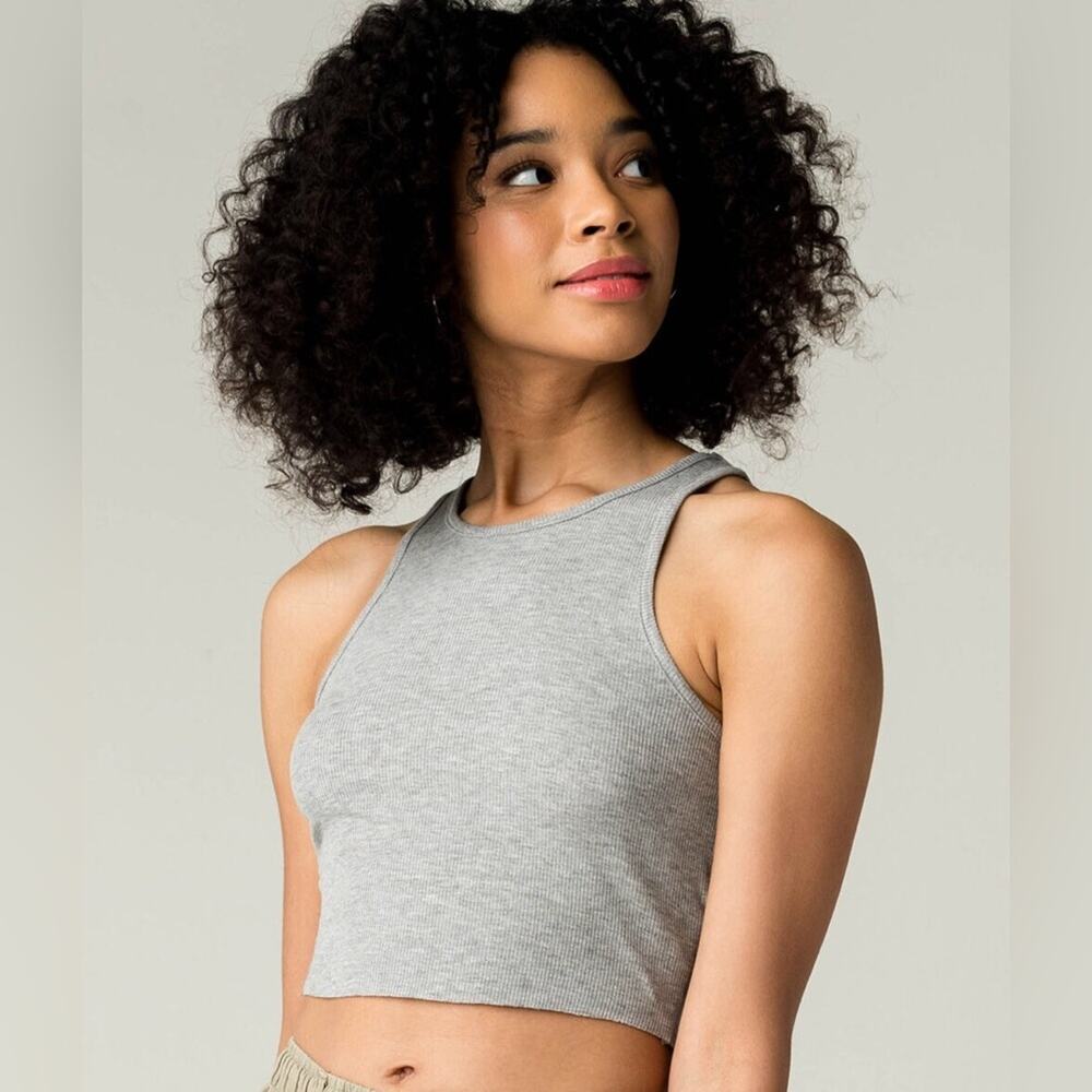 Intimately By Free People High Neck Ribbed Crop Top in Heather Gray Size XS